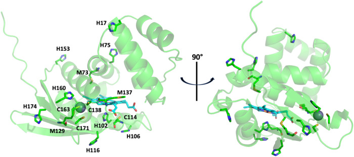Figure 9