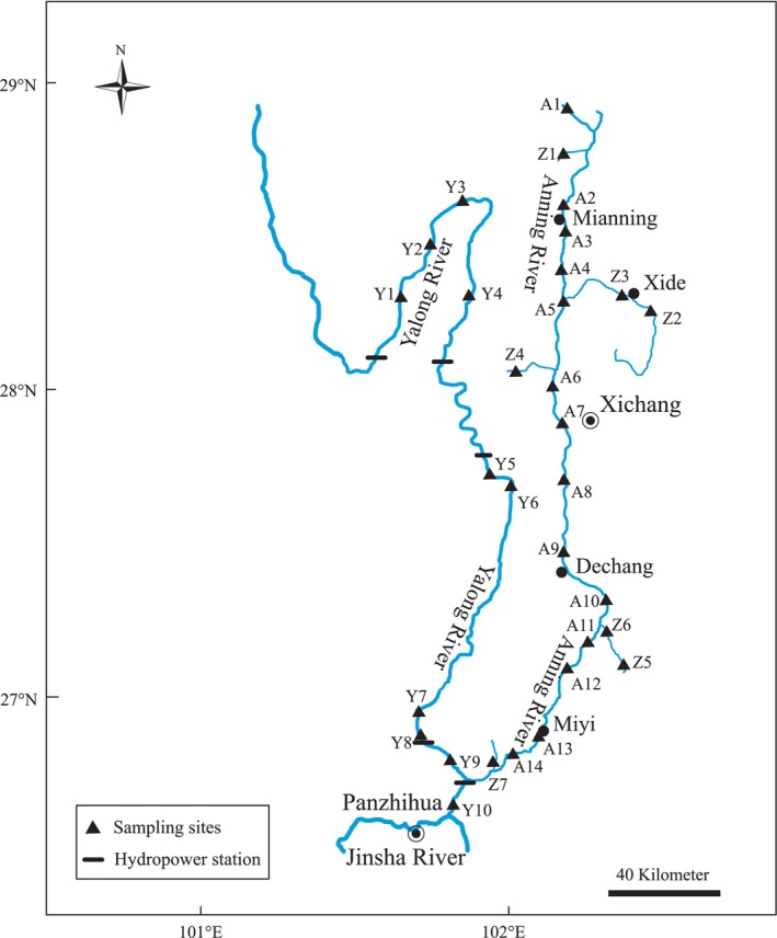 Figure 2