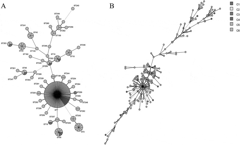 Figure 10