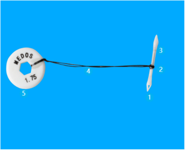 Fig 1