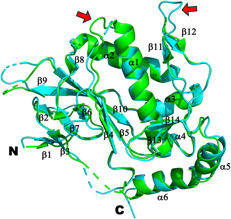 Fig 5