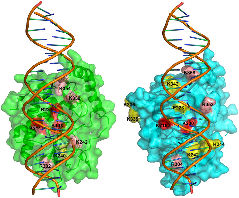 Fig 6