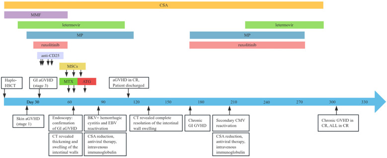 Figure 1