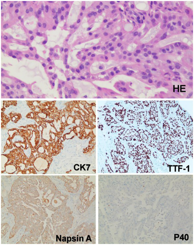 Figure 2