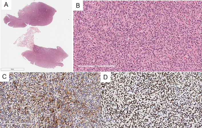 Figure 3