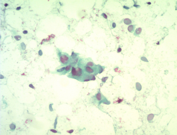 Figure 4