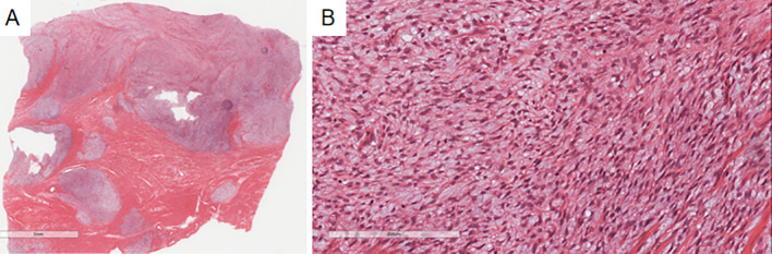 Figure 5