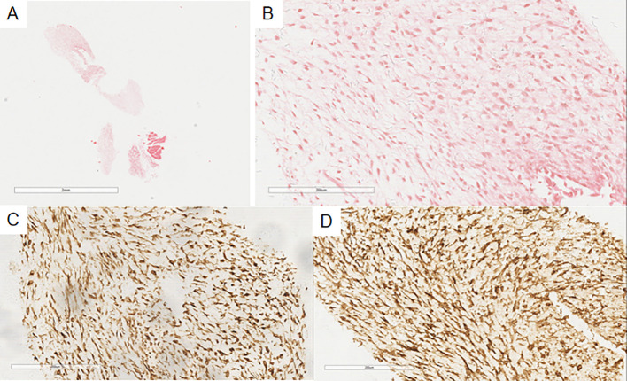 Figure 6