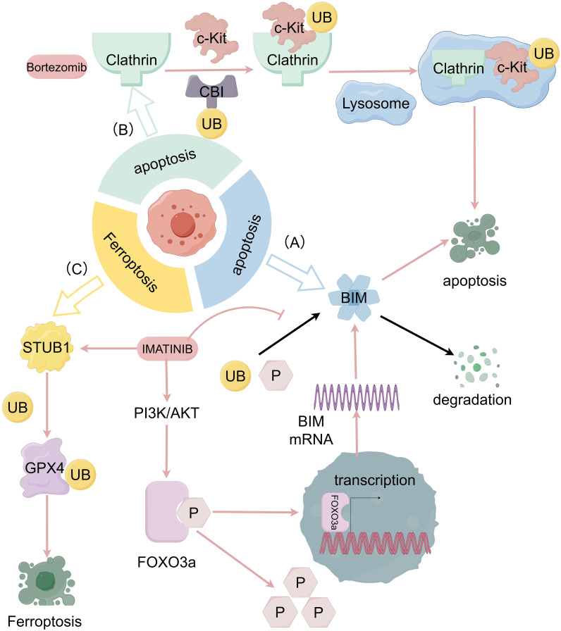Figure 2