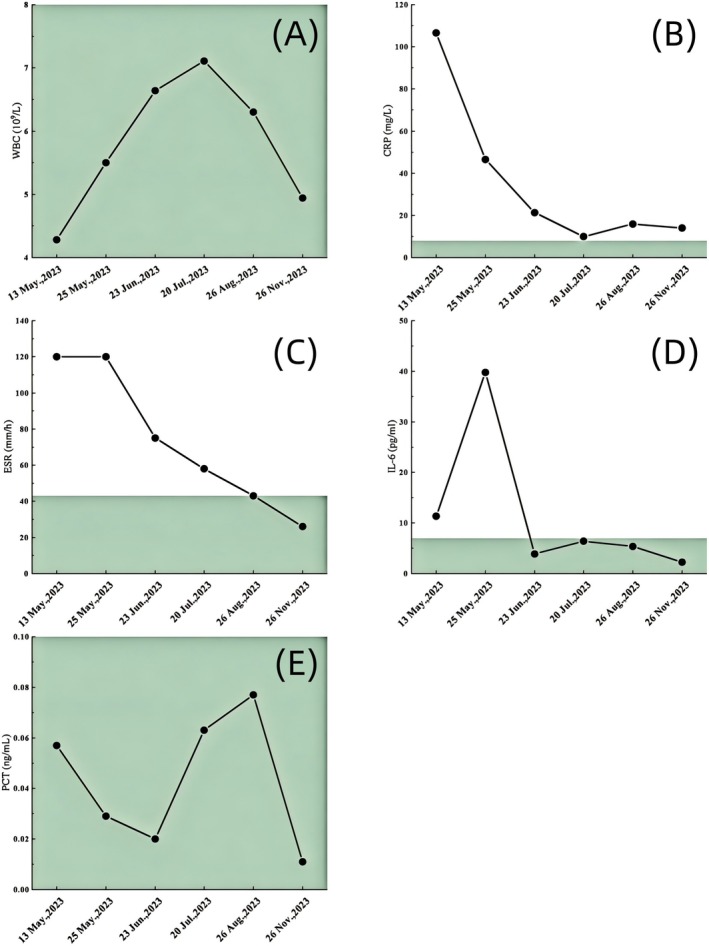 FIGURE 5