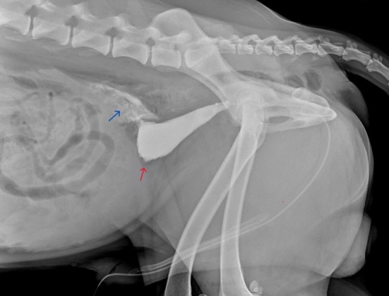FIG 2