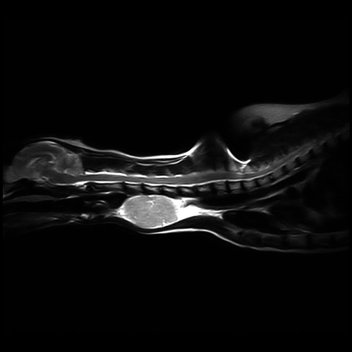 FIG 2