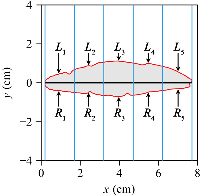 Figure 2