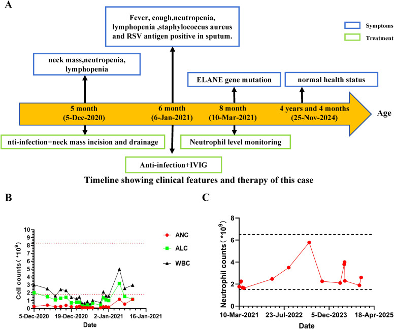 Figure 1