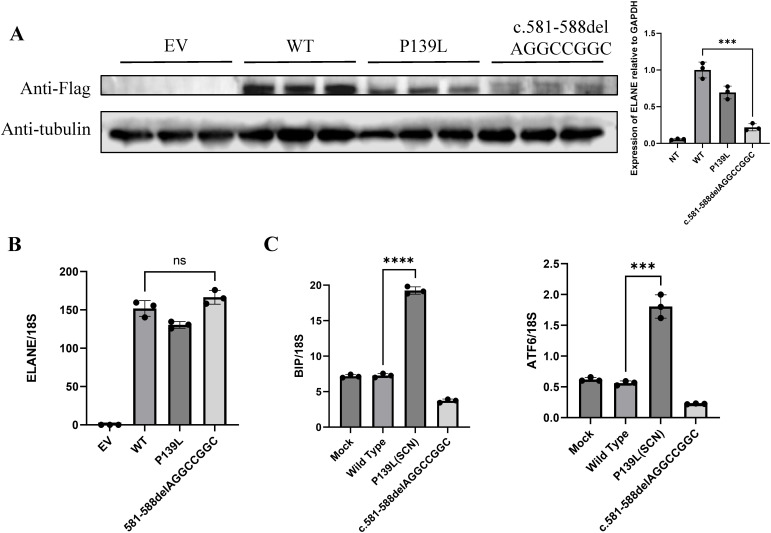 Figure 3