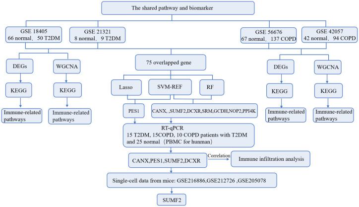 Figure 1