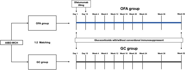 Figure 1