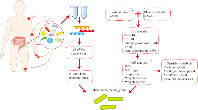 Figure 1