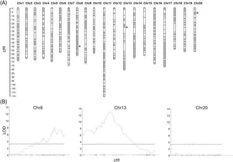 Figure 3