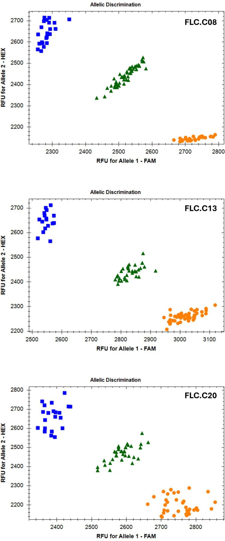 Figure 4