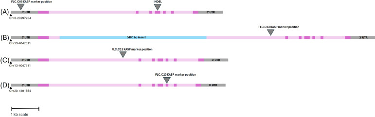 Figure 5