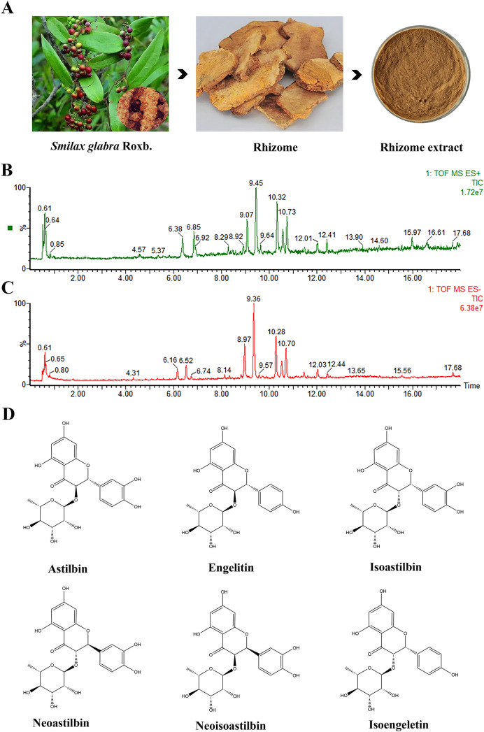 Figure 1