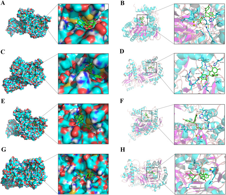 Figure 10