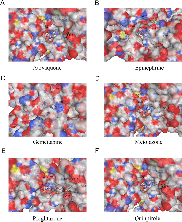 Figure 11