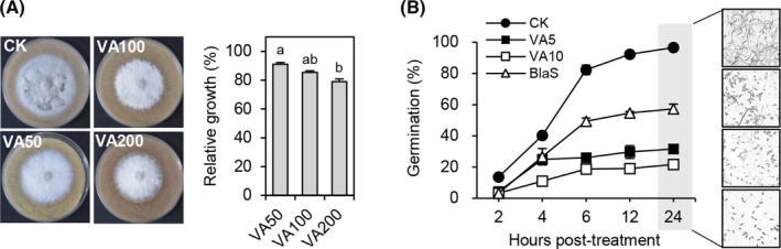 Figure 5