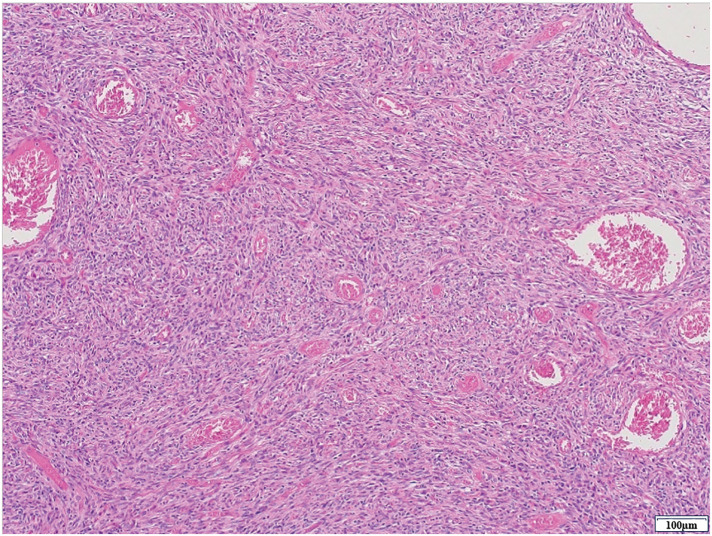 Fig. 6