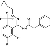 Figure 8