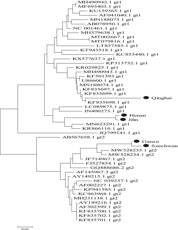 Figure 9