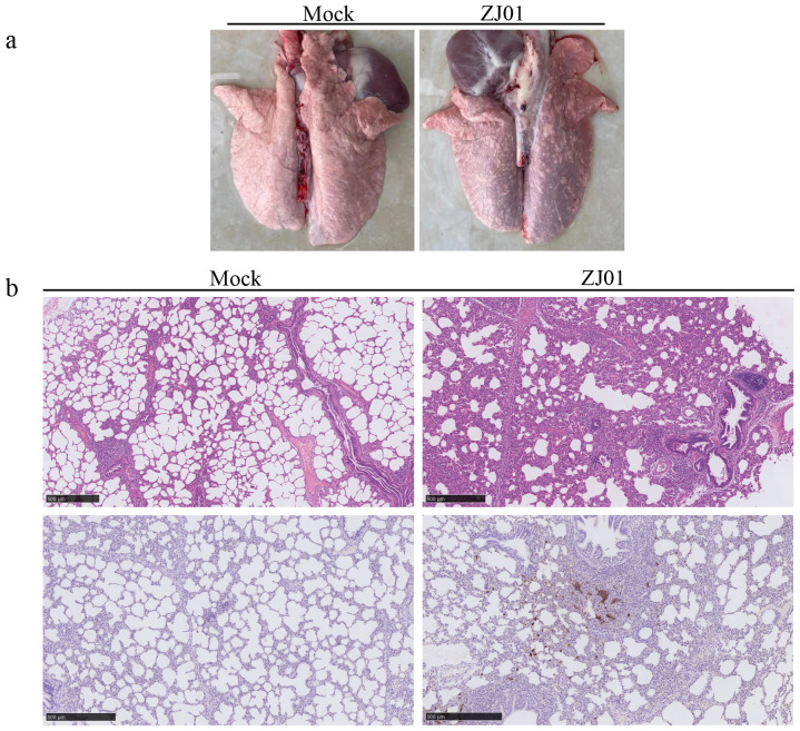 Figure 5