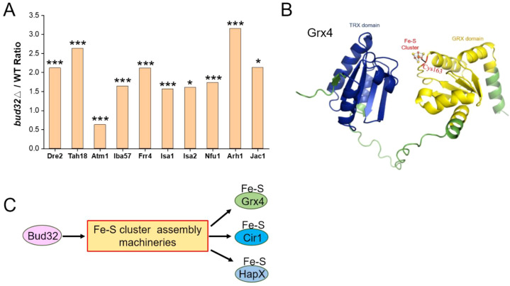 Figure 4