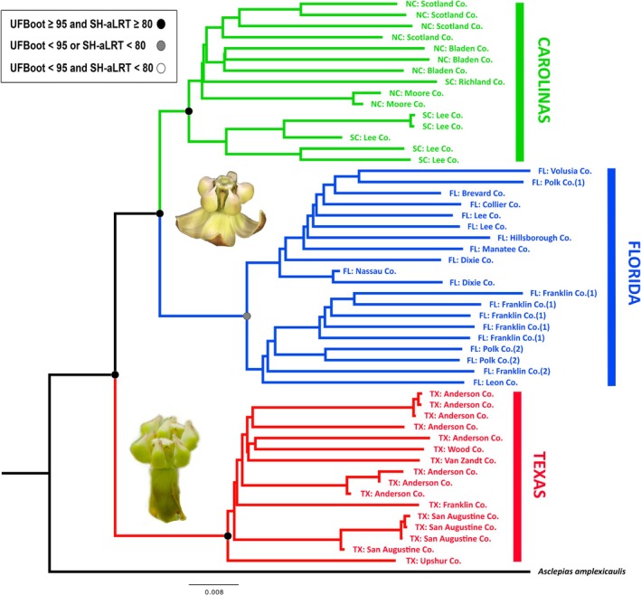 FIGURE 3