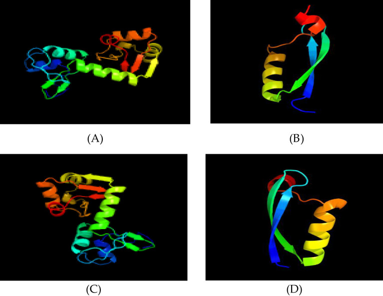 Figure 5