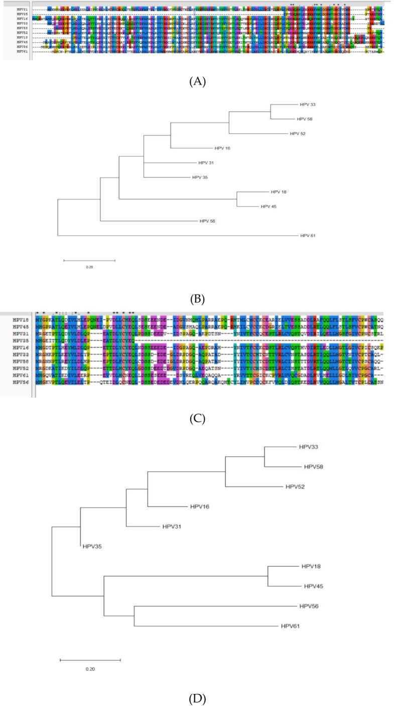 Figure 6