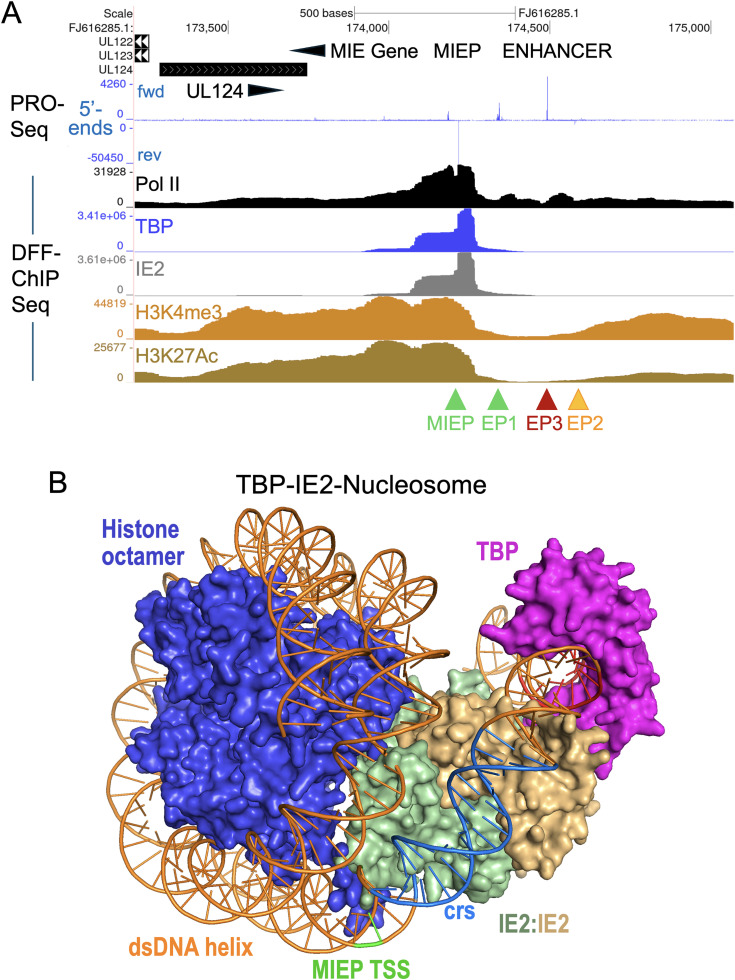 Fig 12