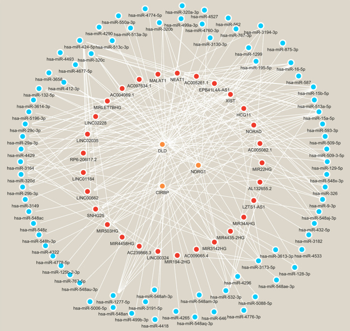 Fig 6