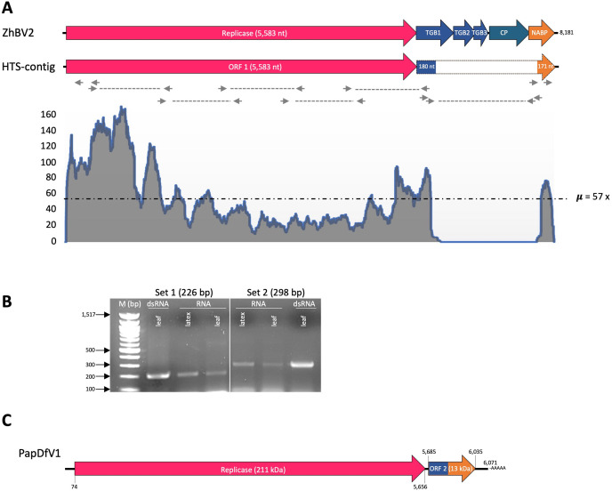 Fig 1