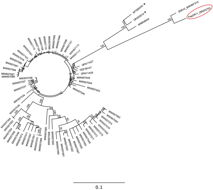 Fig 2