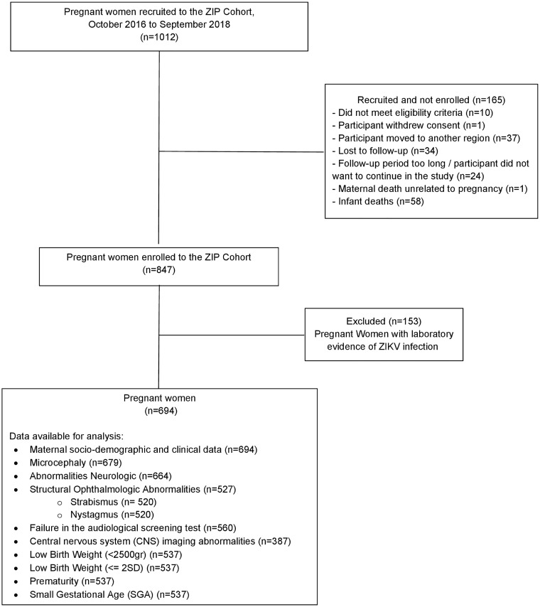 Fig 2