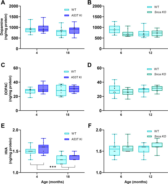 Fig 10