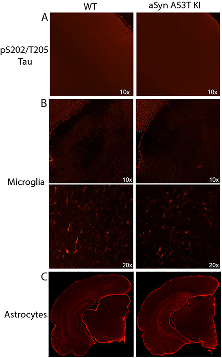 Fig 13