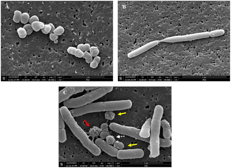 Fig 4