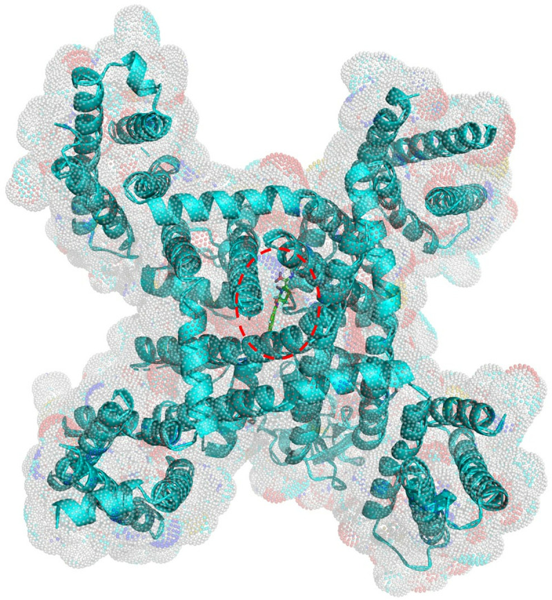 Fig 1