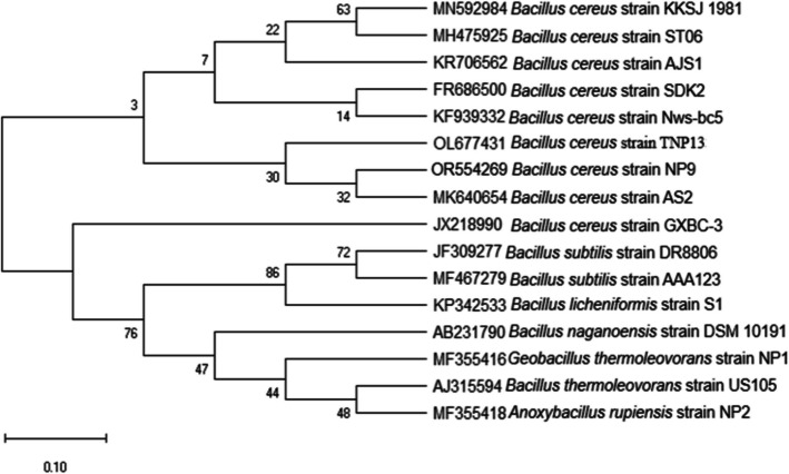 Figure 2