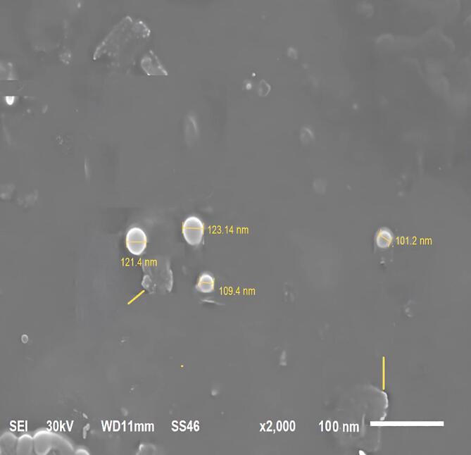 Figure 5