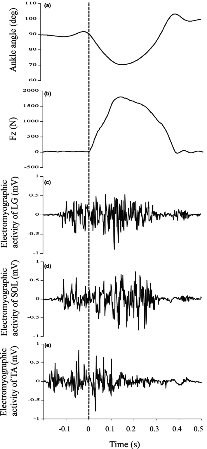 FIGURE 3