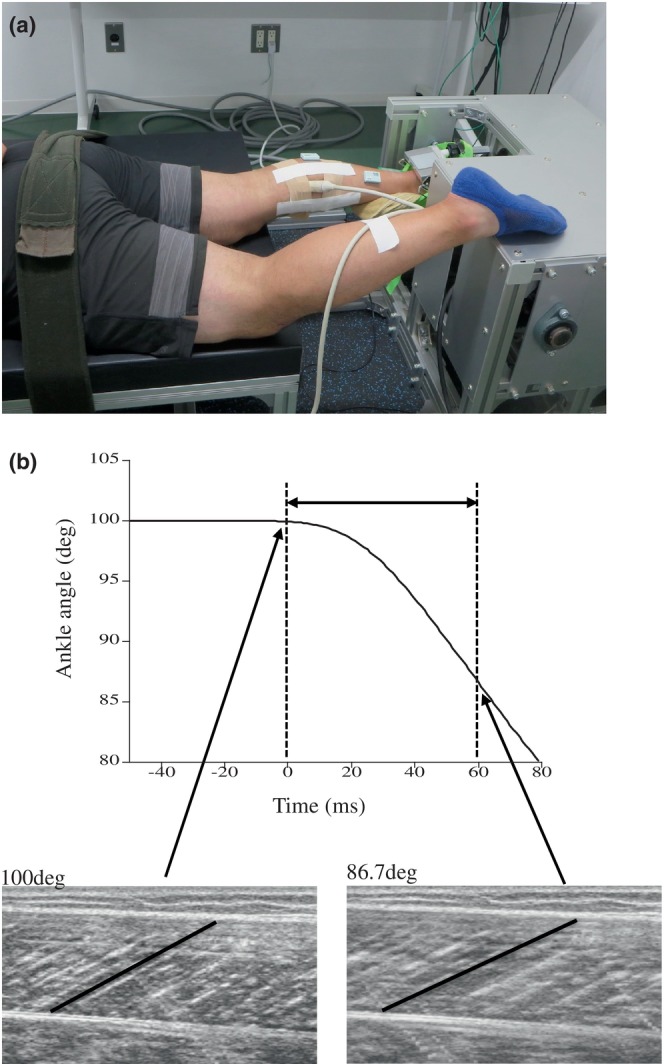 FIGURE 4